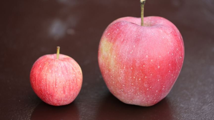 How do the new ICF competencies and PCC markers compare to the old?